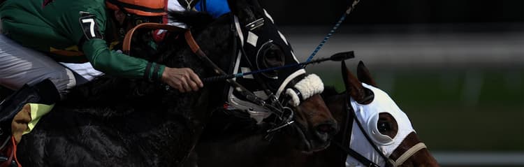 caballosyjockey